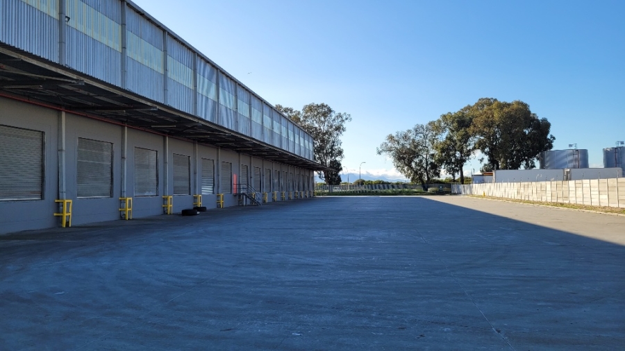 To Let commercial Property for Rent in Parow Industrial Western Cape